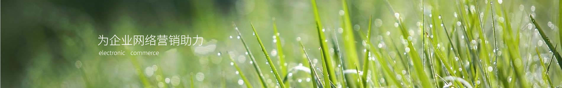 ؽܷ޹˾